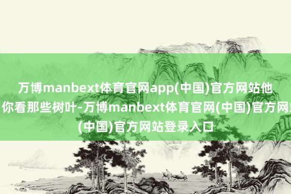 万博manbext体育官网app(中国)官方网站他补充谈：“你看那些树叶-万博manbext体育官网(中国)官方网站登录入口