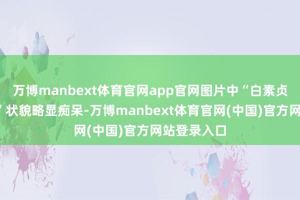万博manbext体育官网app官网图片中“白素贞”和“小青”状貌略显痴呆-万博manbext体育官网(中国)官方网站登录入口