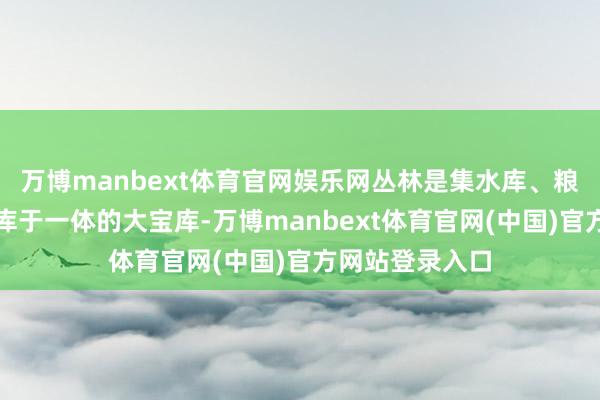 万博manbext体育官网娱乐网丛林是集水库、粮库、钱库、碳库于一体的大宝库-万博manbext体育官网(中国)官方网站登录入口