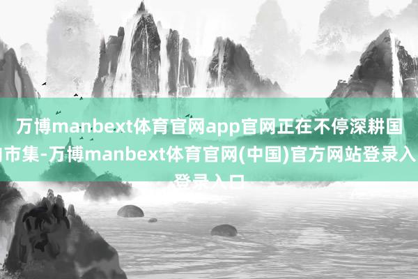 万博manbext体育官网app官网正在不停深耕国内市集-万博manbext体育官网(中国)官方网站登录入口