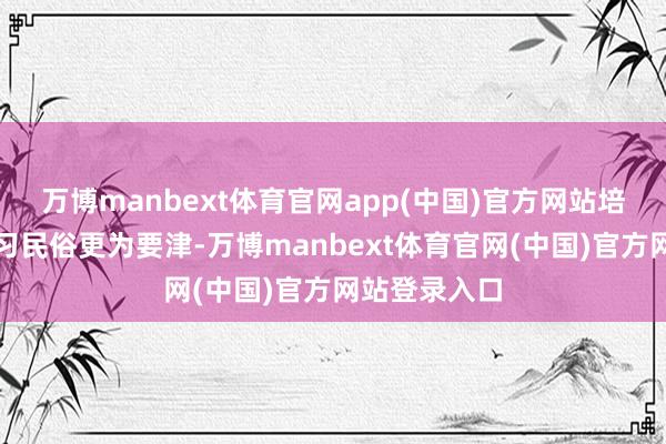 万博manbext体育官网app(中国)官方网站培养考究的学习民俗更为要津-万博manbext体育官网(中国)官方网站登录入口