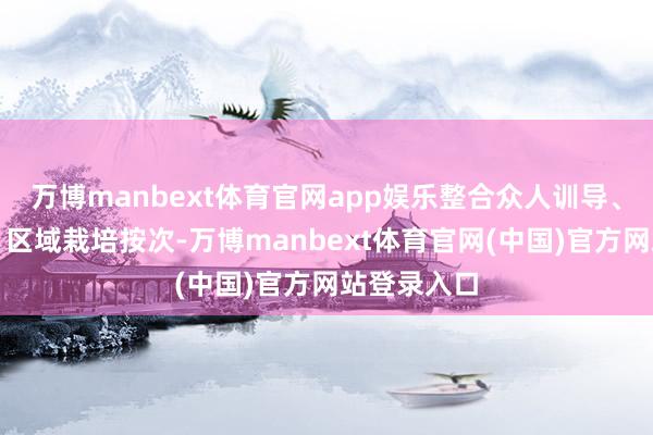 万博manbext体育官网app娱乐整合众人训导、品种特点、区域栽培按次-万博manbext体育官网(中国)官方网站登录入口