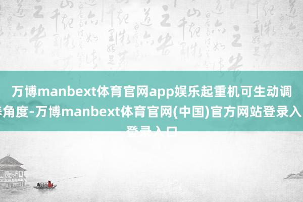 万博manbext体育官网app娱乐起重机可生动调养角度-万博manbext体育官网(中国)官方网站登录入口