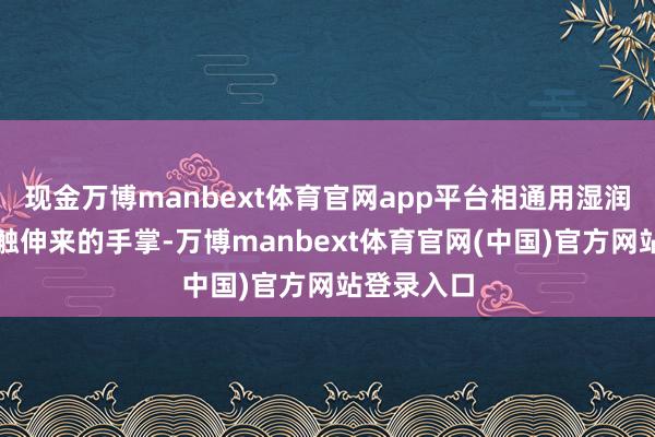 现金万博manbext体育官网app平台相通用湿润的鼻尖轻触伸来的手掌-万博manbext体育官网(中国)官方网站登录入口