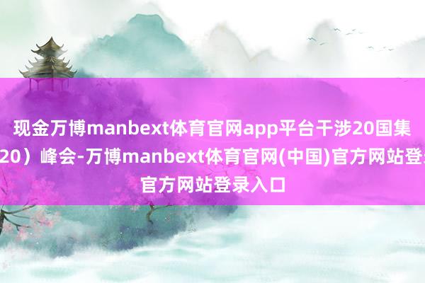 现金万博manbext体育官网app平台干涉20国集团（G20）峰会-万博manbext体育官网(中国)官方网站登录入口
