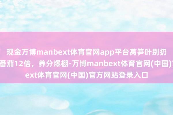 现金万博manbext体育官网app平台莴笋叶别扔！钙是土豆8倍，番茄12倍，养分爆棚-万博manbext体育官网(中国)官方网站登录入口